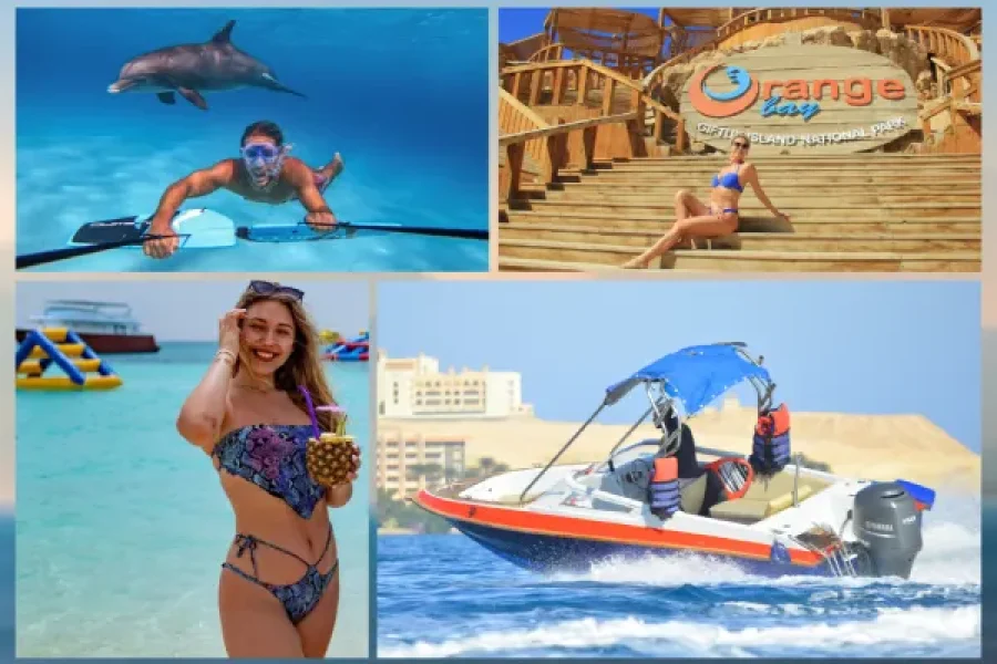 Dolphin House Hurghada Full Day Adventure by speedboat & Orange Bay with Water Sports & Lunch