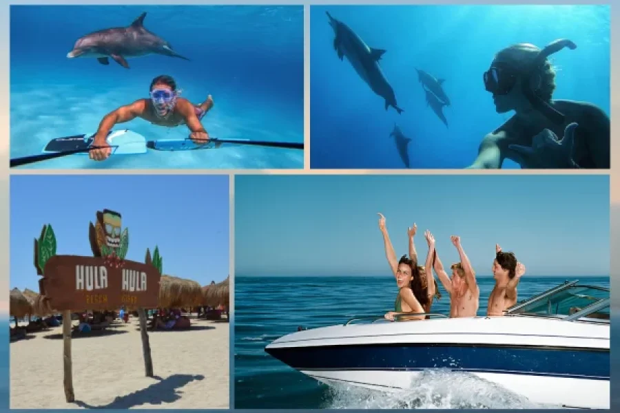 Full Day Private Speedboat to Dolphin House & Hula Hula Island with Water Sports & Lunch