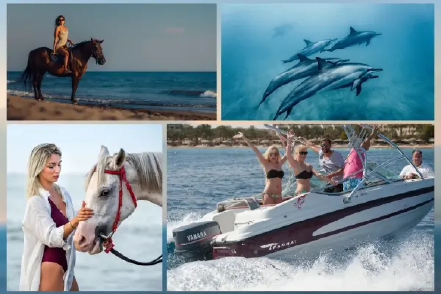 Speedboat Private Adventure Dolphin House Hurghada and Horse Riding for 2 hours with Transfer